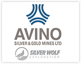 Avino Silver & Gold Mines Ltd. and Silver Wolf Exploration