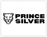Prince Silver Corp.